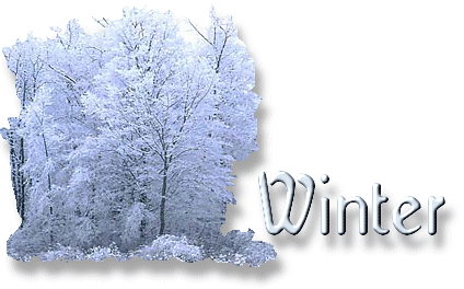 winter_1.gif (63159 bytes)